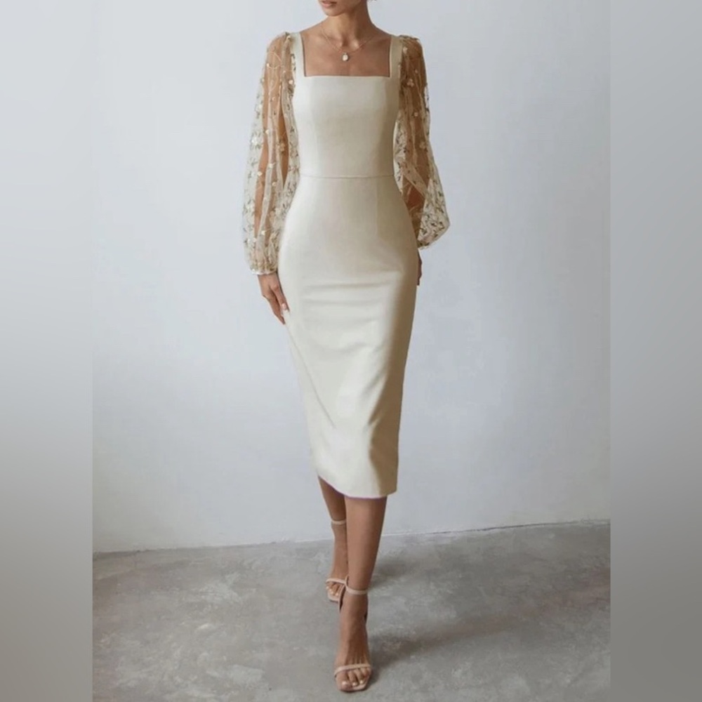 Sheer Embroidery Lantern Sleeve Fitted Midi dress